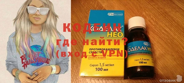 прущие грибы Няндома
