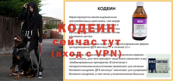 молекула духа Нязепетровск